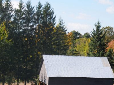 Full Moon Farm